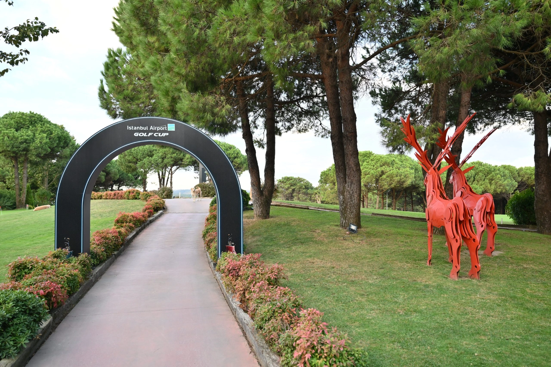 Iga Golfcup