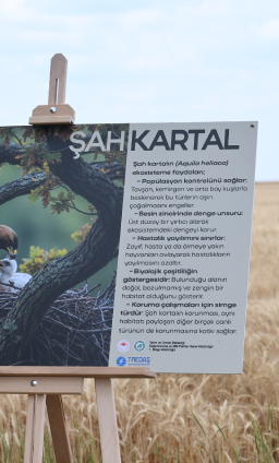 TREDAŞ